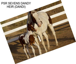 PSR SEVENS DANDY HEIR (DANDI)