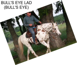 BULL\'S EYE LAD (BULL\'S EYE)