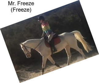 Mr. Freeze (Freeze)