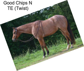 Good Chips N TE (Twist)
