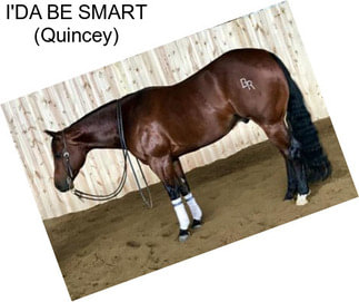 I\'DA BE SMART (Quincey)