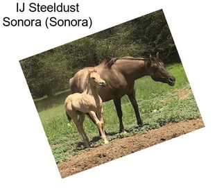 IJ Steeldust Sonora (Sonora)