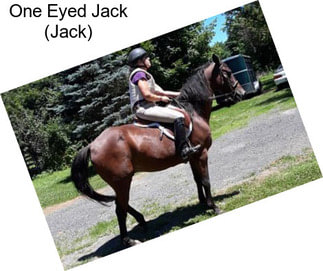 One Eyed Jack (Jack)