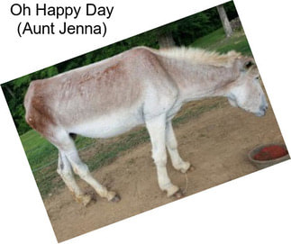 Oh Happy Day (Aunt Jenna)