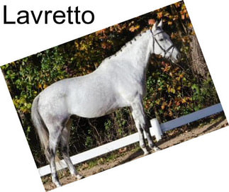 Lavretto