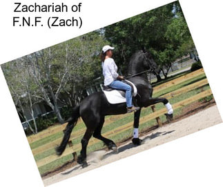 Zachariah of F.N.F. (Zach)