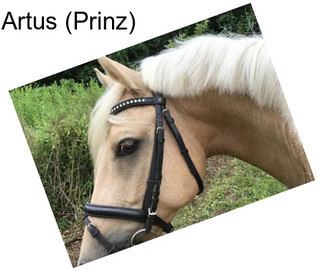 Artus (Prinz)