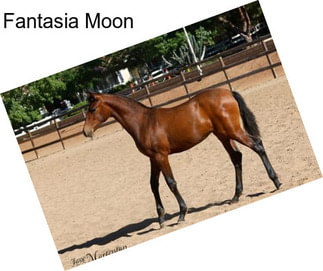 Fantasia Moon