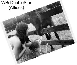 WBsDoubleStar (Atticus)