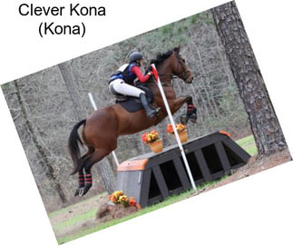 Clever Kona (Kona)