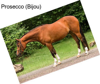 Prosecco (Bijou)