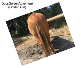DocsGoldenAdventure (Golden Girl)