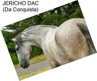 JERICHO DAC (Da Conquista)