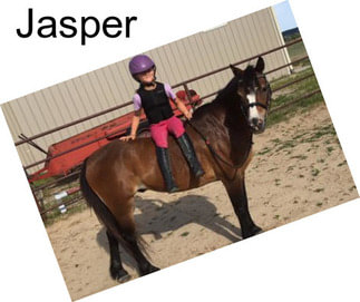 Jasper