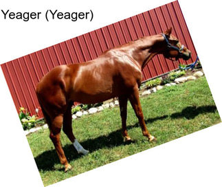 Yeager (Yeager)