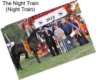 The Night Train (Night Train)