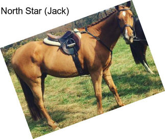North Star (Jack)