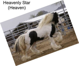 Heavenly Star (Heaven)