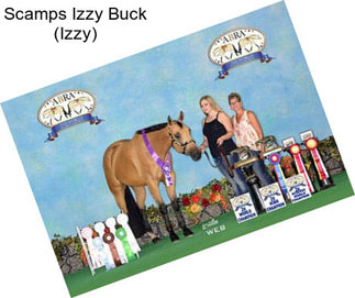 Scamps Izzy Buck (Izzy)