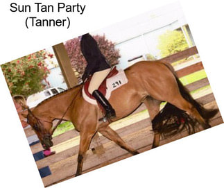 Sun Tan Party (Tanner)