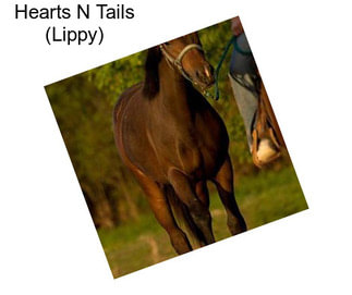 Hearts N Tails (Lippy)