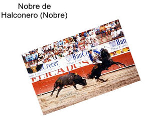 Nobre de Halconero (Nobre)