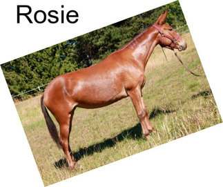 Rosie