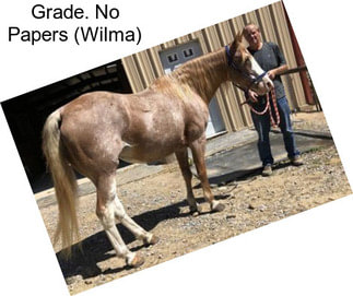 Grade. No Papers (Wilma)