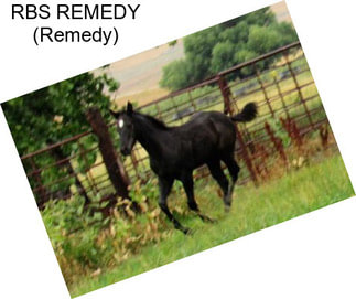 RBS REMEDY (Remedy)