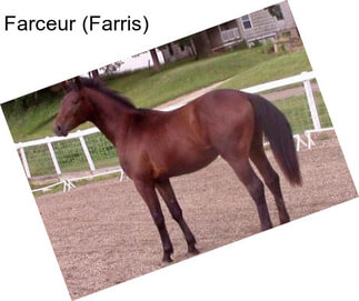 Farceur (Farris)