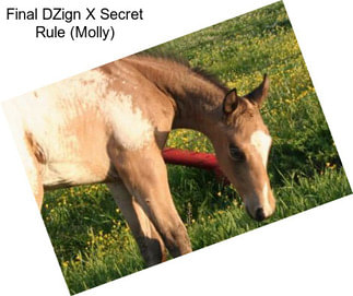 Final DZign X Secret Rule (Molly)