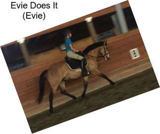 Evie Does It (Evie)