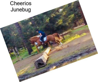 Cheerios Junebug