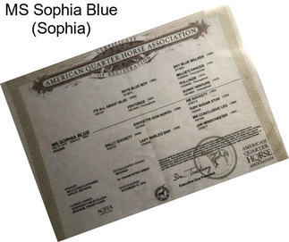 MS Sophia Blue (Sophia)