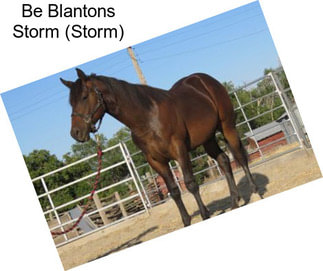 Be Blantons Storm (Storm)