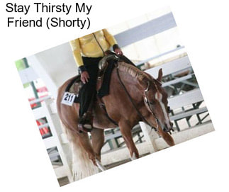 Stay Thirsty My Friend (Shorty)