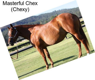 Masterful Chex (Chexy)