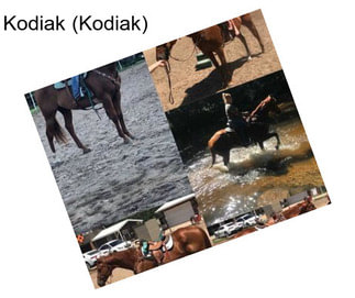 Kodiak (Kodiak)
