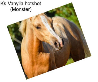 Ks Vanylla hotshot (Monster)