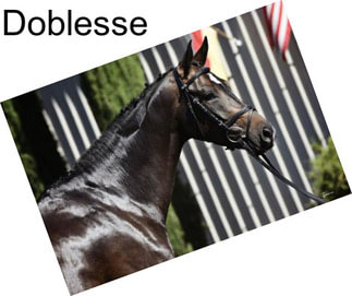 Doblesse