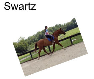 Swartz