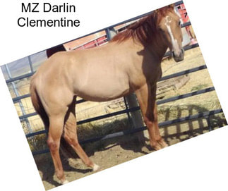 MZ Darlin Clementine