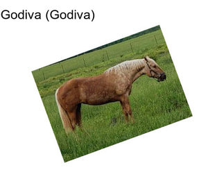 Godiva (Godiva)