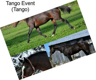 Tango Event (Tango)