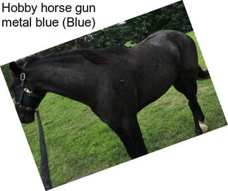 Hobby horse gun metal blue (Blue)