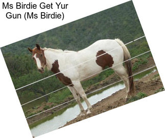 Ms Birdie Get Yur Gun (Ms Birdie)