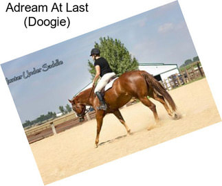 Adream At Last (Doogie)