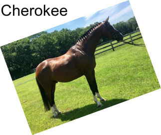 Cherokee