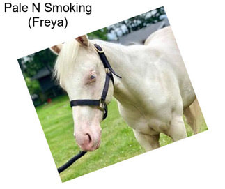 Pale N Smoking (Freya)