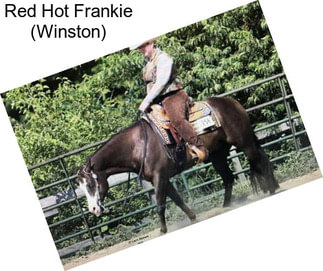 Red Hot Frankie (Winston)